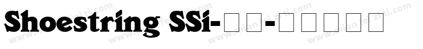 Shoestring SSi-常规字体转换